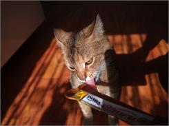 Inaba Cat Churu Puree z kurczakiem i serem 4x14g