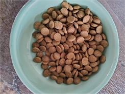 Farmina Nd Cat Lamb Pumpkin And Blueberry Neutered Adult 5Kg