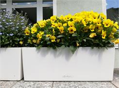 Lechuza donica Balconera 80 biała 3-15680
