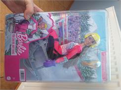 Barbie Kariera Paranarciarka alpejska (HCN30 HCN33)