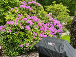 Weber Kosz Do Grillowania Wielopoziomowego Stal Nierdzewna  7616
