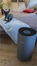 PHILIPS AC1715/11 