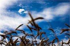 Canon EOS RP + RF 24-105mm F4-7.1 IS STM