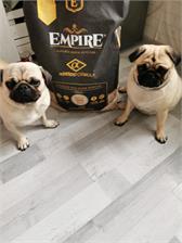 Empire Hipoalergiczna Karma Dla Dorosłych Maltańczyków 12Kg