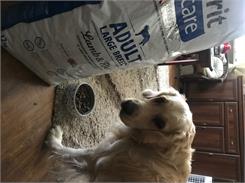 Dolina Noteci Premium Bogata W Kurczaka 800G