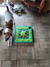 Nina Ottosson Multipuzzle Gra Edukacyjna [69663]