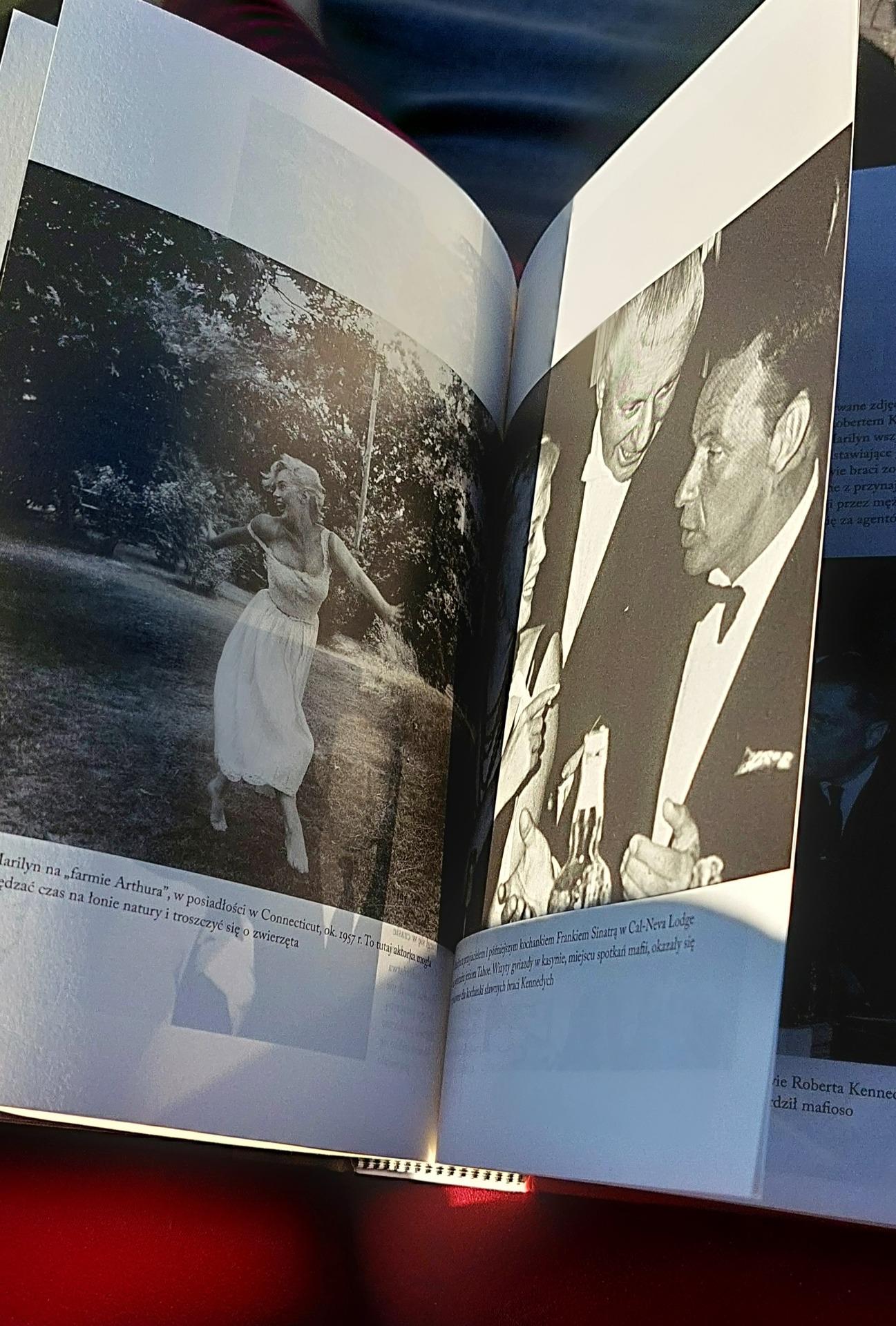 Bogini. Tajemnice życia i śmierci Marilyn Monroe - Ceny i opinie - Ceneo.pl
