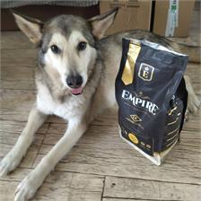 Empire Hipoalergiczna Karma Dla Dorosłych Psów Dużych Ras 12Kg