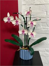 LEGO ICONS Botanicals 10311 Orchidea