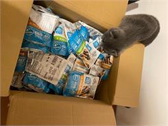 Pet Republic Frendi Kot Sasz. Indyk Sos 100G