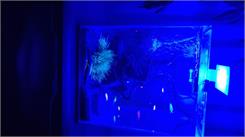 Aquael SHRIMP SET 30 CZARNY DAY&NIGHT 29x29x35 30l