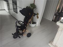 Qplay Rowerek Trójkołowy Nova+ Rubber Golden