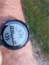 Garmin Forerunner 255 Popielaty 010-02641-10
