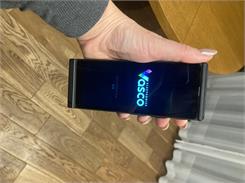Vasco Translator V4 Stone Gray