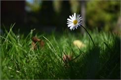 Nikon Z 5 + 24-50mm f/4-6.3