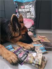 Pan Mięsko Dla Szczeniąt Cielęcina Z Przepiórką Chrupki L 9Kg