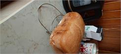 Tefal Bread Of The World PF6118