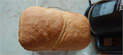 Tefal Bread Of The World PF6118