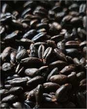 Babalscy Orkiszowa Grubo Mielona Bio 300g