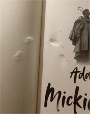 Adam Mickiewicz - bryk bardzo niekonwencjonalny