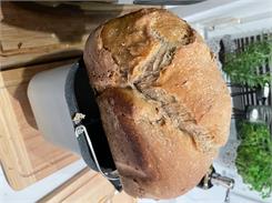Tefal Bread Of The World PF6118