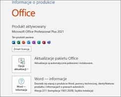 Microsoft Office 2021 Professional Plus 