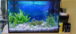 Aquael Akwarium Proste 72L 60X30X40Cm 5Mm Xl