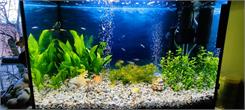 Aquael Akwarium Proste 72L 60X30X40Cm 5Mm Xl