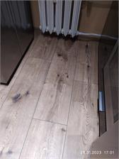 Kronostep Spc Drewno Jasne KSW4R131P