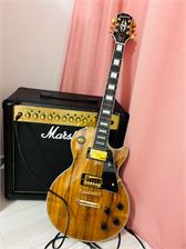 Marshall MG50GFX