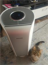 PHILIPS Dual Scan AC3059/51