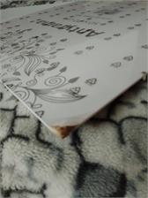 M-Interio Antyrama Plexi 50*70Cm