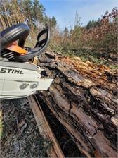 Stihl MS 261