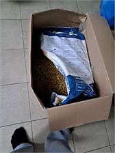 Divinus Performance Dla Owczarka Niemieckiego 20kg