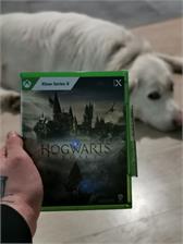 Hogwarts Legacy (Gra Xbox Series X)