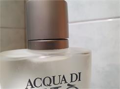 Giorgio Armani Acqua Di Gio Pour Homme Woda Toaletowa 100 ml