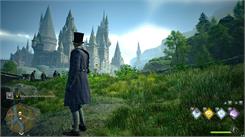 Hogwarts Legacy Deluxe Edition (Digital)