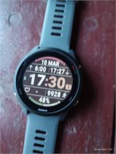 Garmin Forerunner 255 Popielaty 010-02641-10