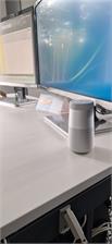 Bose Revolve II srebrny