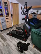 Schwinn 510E