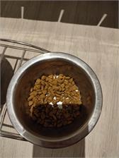Royal Canin Mini Puppy 4kg