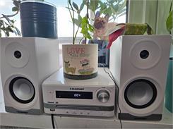 Blaupunkt MS16BT