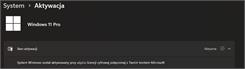 Windows 11 Professional ESD