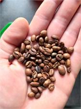 Lavazza Qualita Oro Ziarnista 1kg