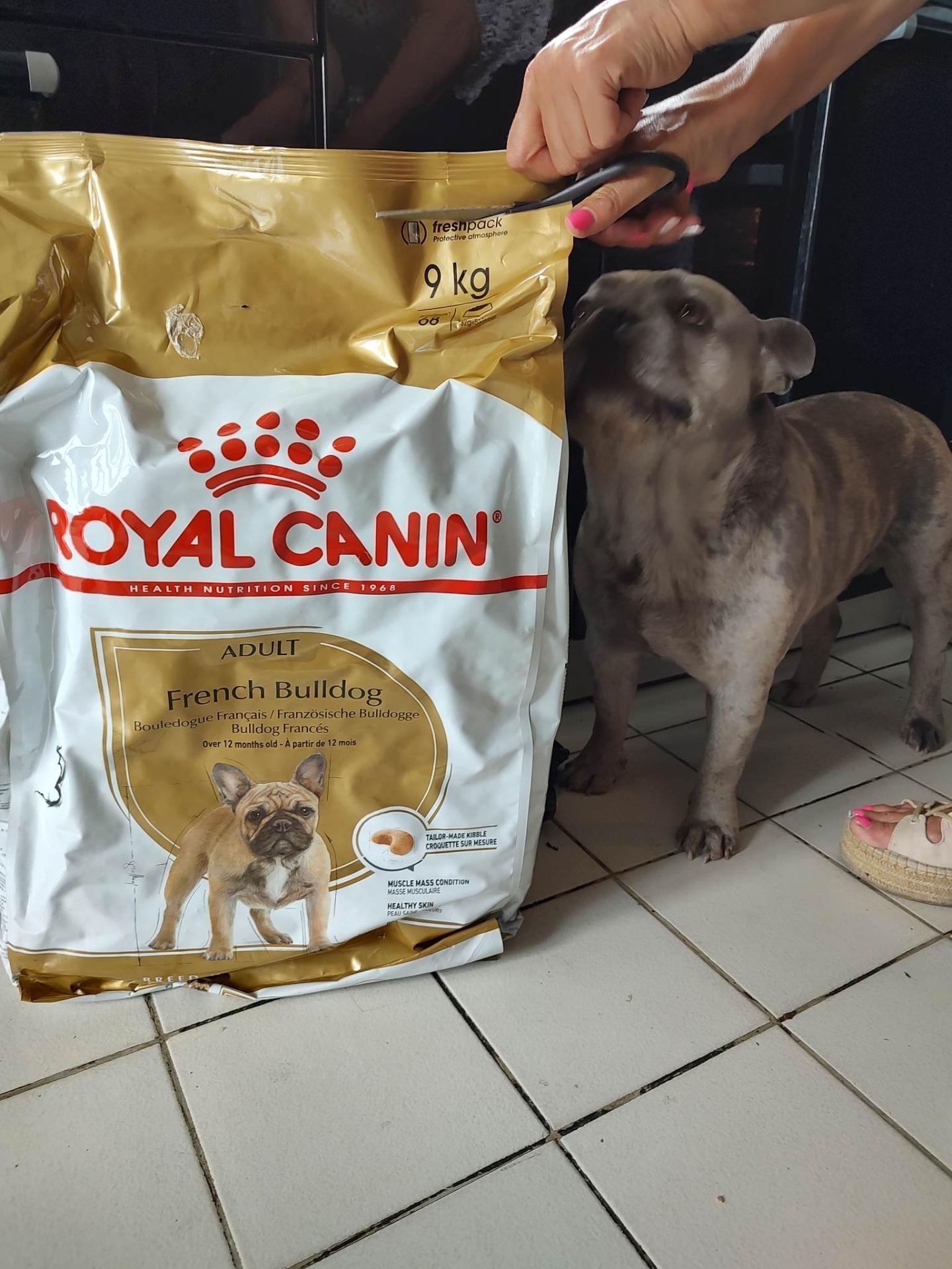 Karma Royal Canin French Bulldog Adult 3x3kg Ceny I Opinie Ceneopl