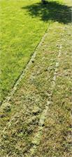 Kosiarka spalinowa Hortmasz Hks456NL