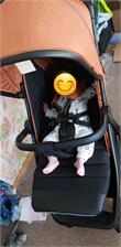 Carrello Bravo Plus 2023 Royal Orange Spacerowy