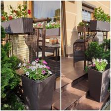 Lechuza Balconera Cottage 80 brązowy mokka 3-15615
