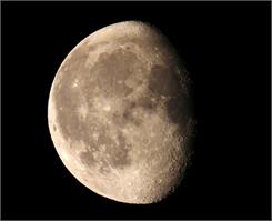 Nikon COOLPIX P950