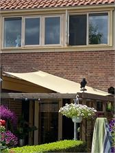 SunShade Żagiel Przeciwsłoneczny Wodoszczelny Na Wymiar